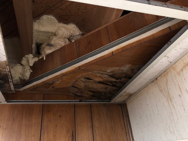 Water damage on the original ceiling in our basement  [Photo credit: Energy Vanguard]